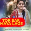 Tor Bar Maya Lage